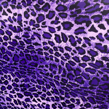 Load image into Gallery viewer, Cheetah Love Dance Set